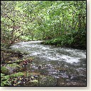 image0032.jpg